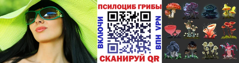 Псилоцибиновые грибы ЛСД  даркнет сайт  Лермонтов 